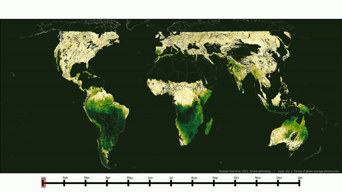 A map showing the progression of vegetation throughout the year.
