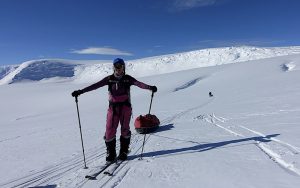 Female skier hauling sled uphill
