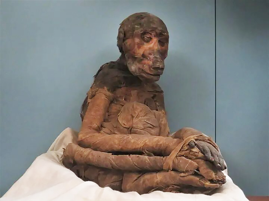 mummified baboon on a table