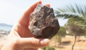 A Paleolithic handaxe discovered during the Ayvalık survey