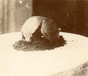 A broken skull on a windowsill