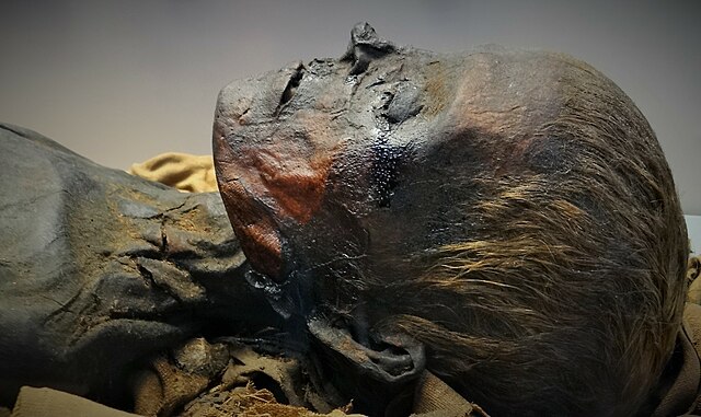 The face and neck of a mummified corpse. The skin is black and resinous.