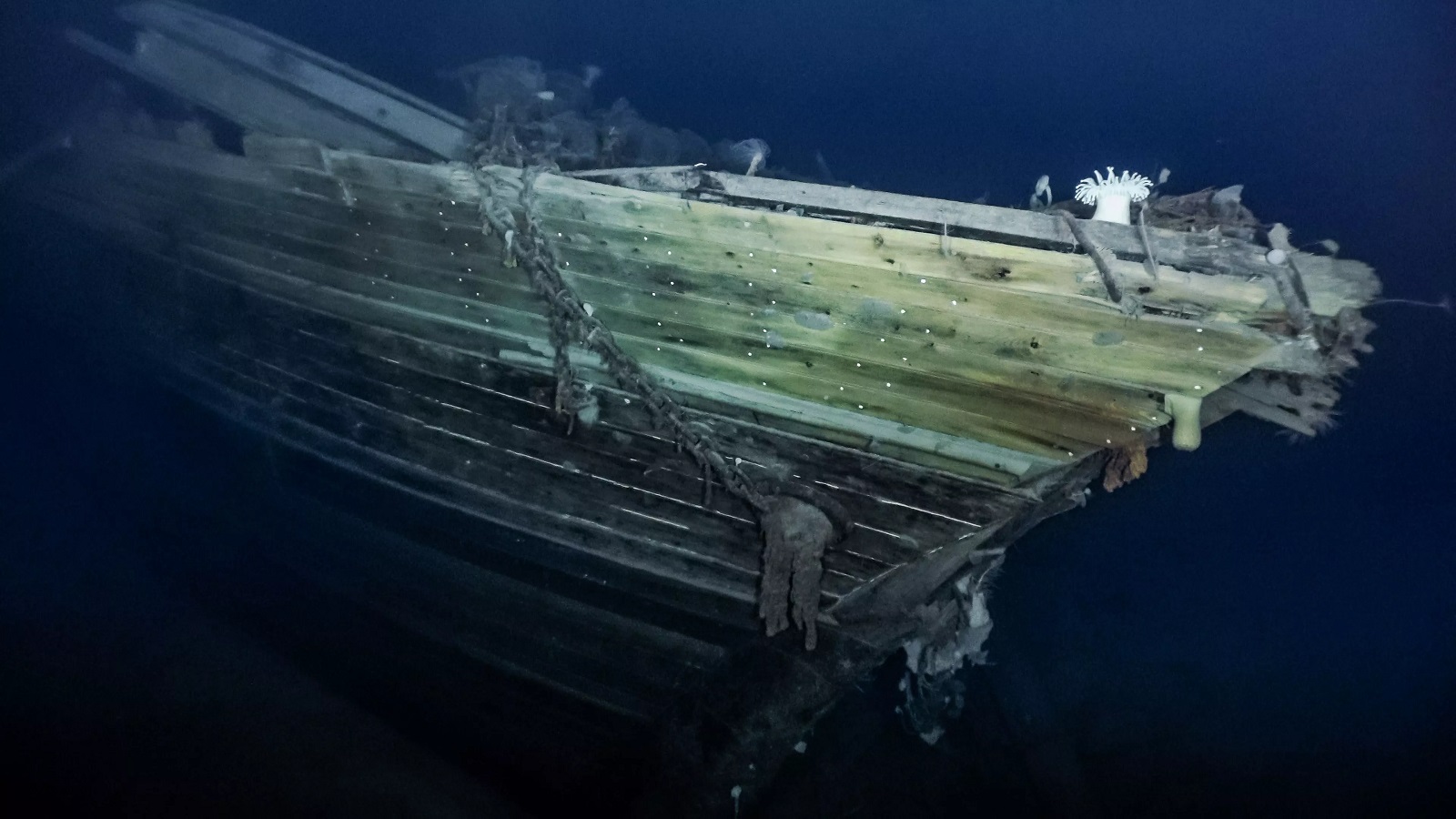 Shackleton Endurance Ship discovered