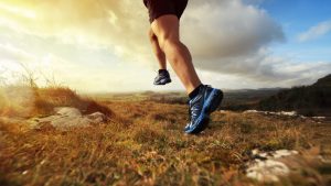 a close up of legs running in a rural setting