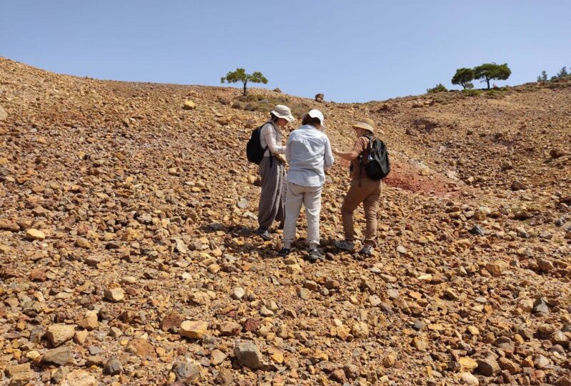 Hande Bulut, Göknur Karahan, Kadriye Özçelik during the survey.