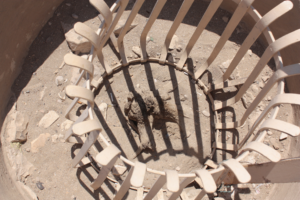 A shriveled stump behind bars