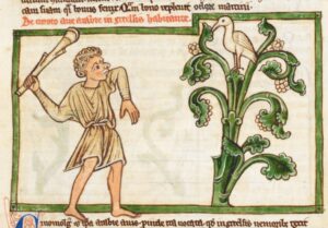 A man with a club beside a tree, illustration