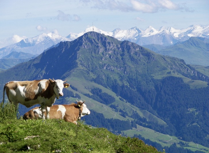 Kitzbuheler Horn seen from northwest, in the background? Grosses Wiesbachhorn (Glocknergruppe).