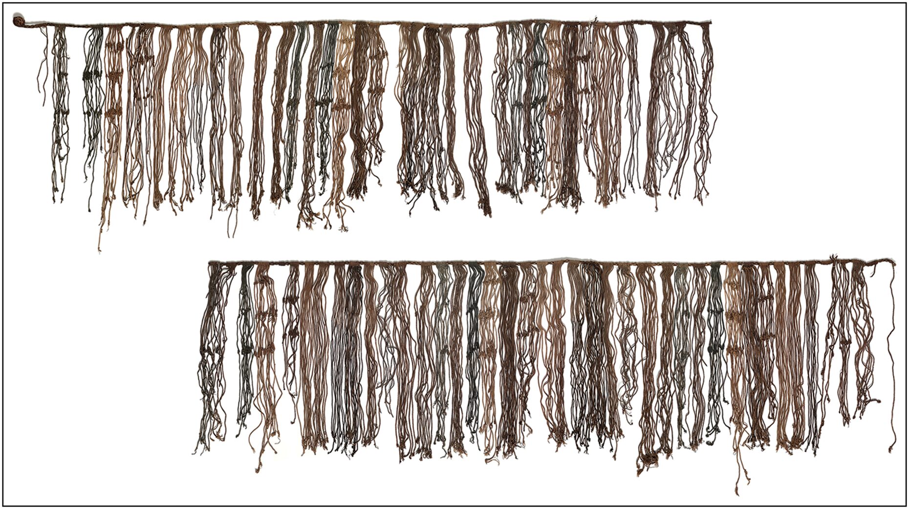 An image of two long khipus. Each one is a central string with clusters of substrings attached.