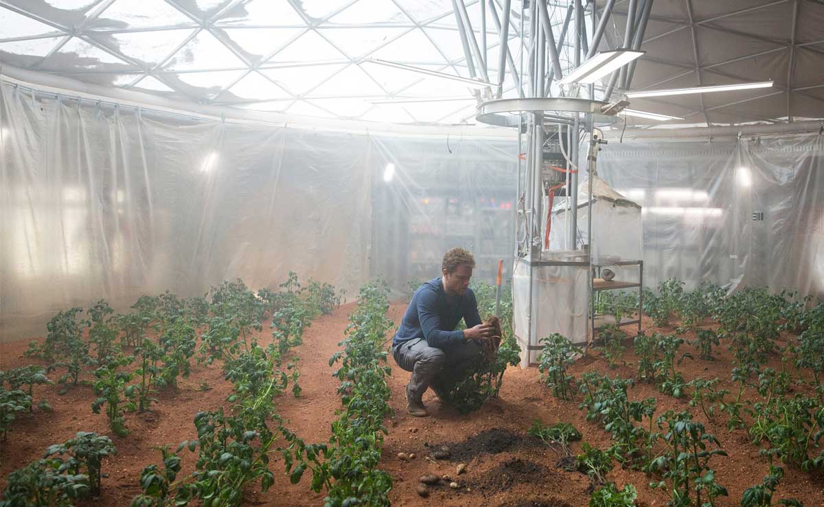 A man growing potatoes in an enclosure.