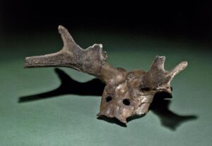 An antler headdress with boreholes drilled in.