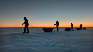 line of skiers/sledders silhouetted at sunset