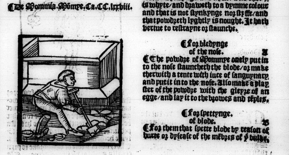 A manuscript with an illustration woodcut of a man digging, and text explaining the use of mummy