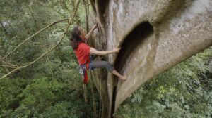 person in red shirt climbing on tree