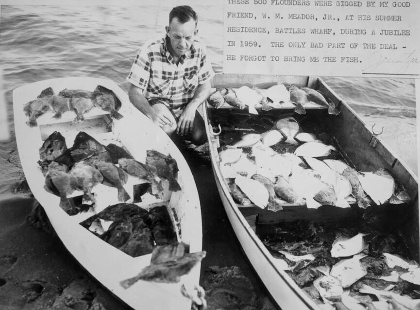 A man and two small boats filled with fish
