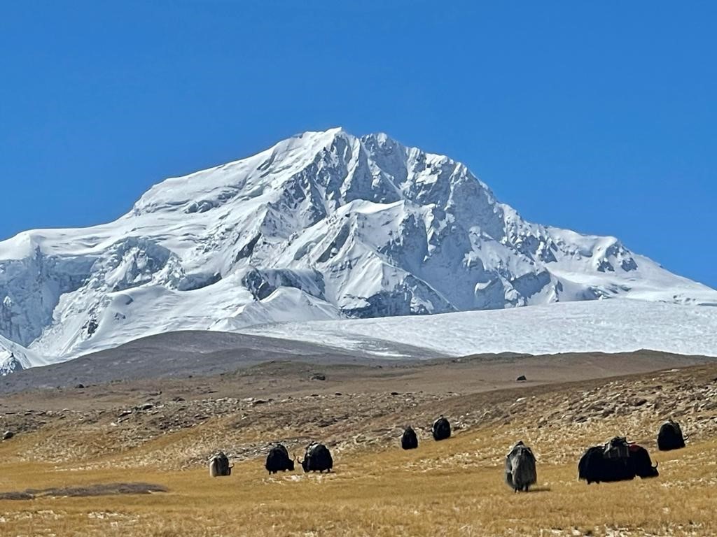 Shishapangma totally covered in snow, rising on a brown plain.