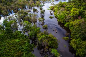 aerial of Amazon with small boat making ripples