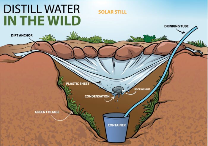A graphic illustration depicting a solar still
