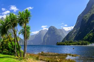 scenic of Fiordland -- ocean, palm trees, mountains