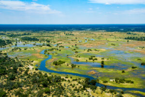 The Okavango Delta, Botswana.