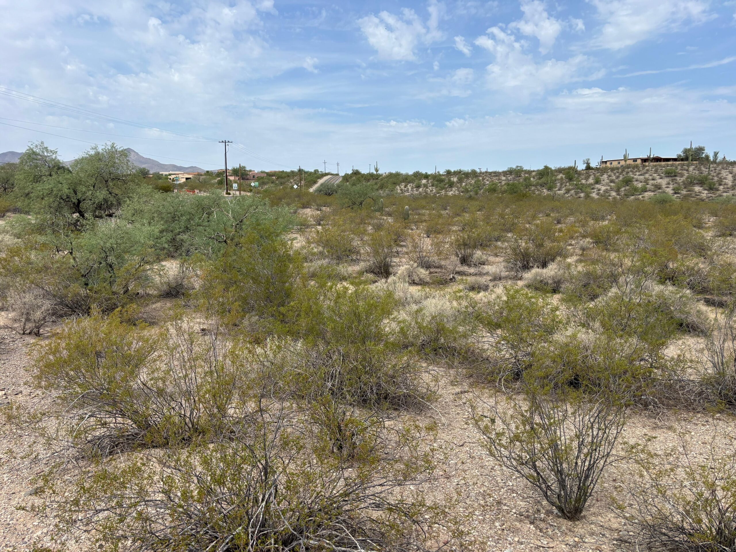 A square of the Sonoran desert, road in background