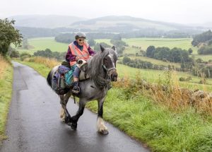 80 year old rides horse 1000km