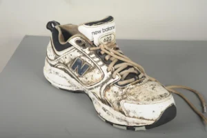 One of the shoes found near the Salish Sea.