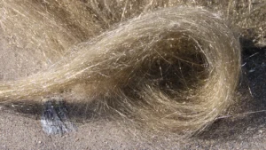 Pele's hair tumbleweed
