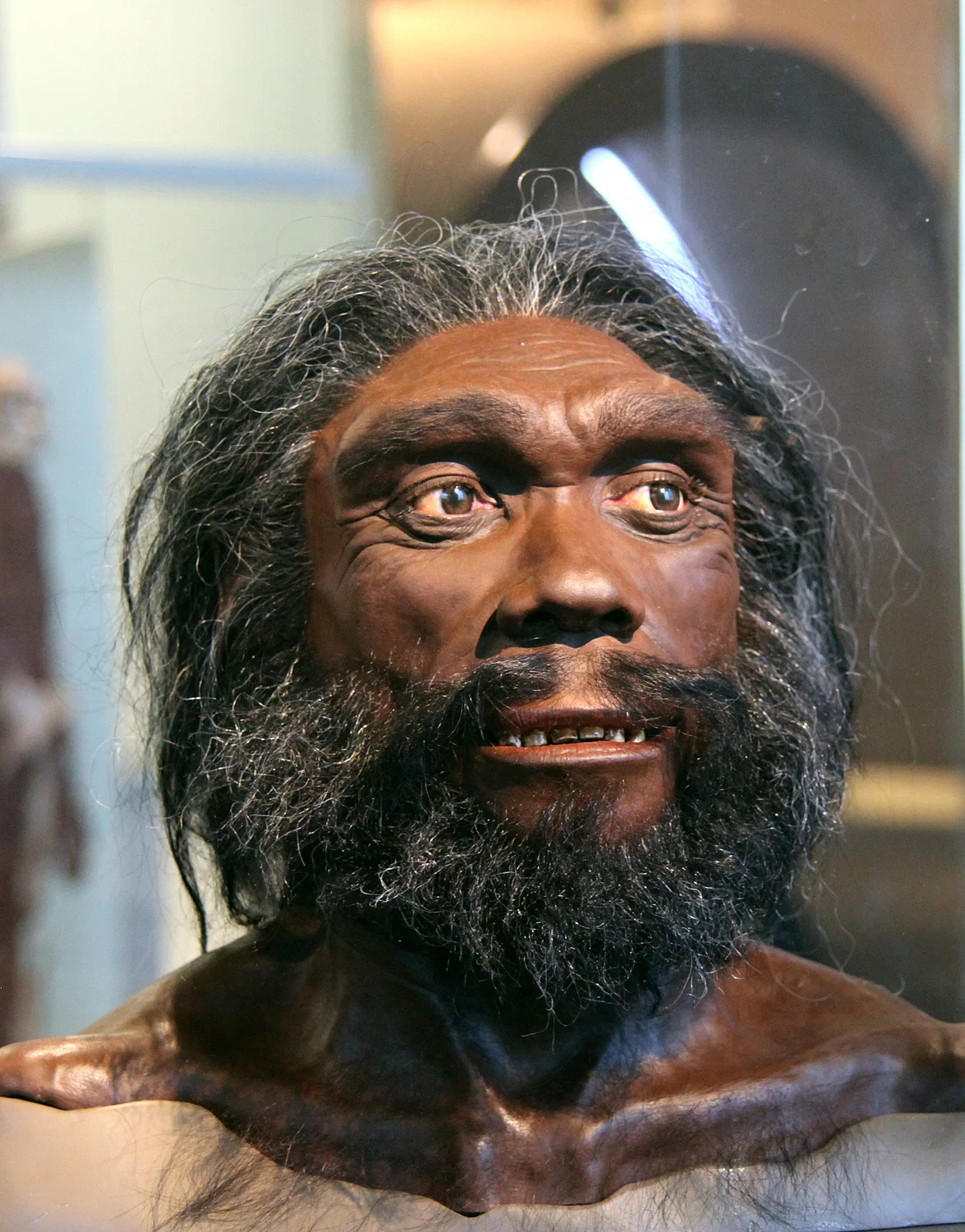 Facial reconstruction of a man with a full beard and rich brown skin. His forehead is narrower than a modern human's. 